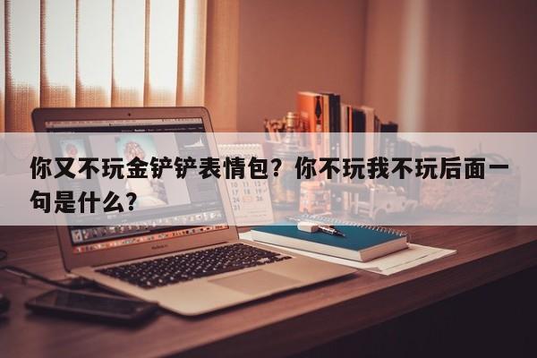 你又不玩金铲铲表情包？你不玩我不玩后面一句是什么？