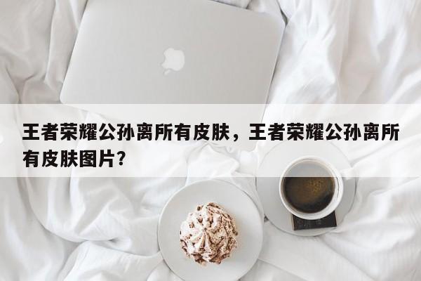 王者荣耀公孙离所有皮肤，王者荣耀公孙离所有皮肤图片？