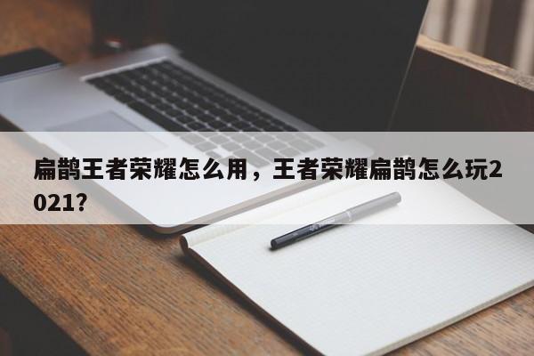 扁鹊王者荣耀怎么用，王者荣耀扁鹊怎么玩2021？