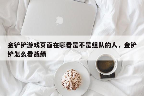 金铲铲游戏页面在哪看是不是组队的人，金铲铲怎么看战绩